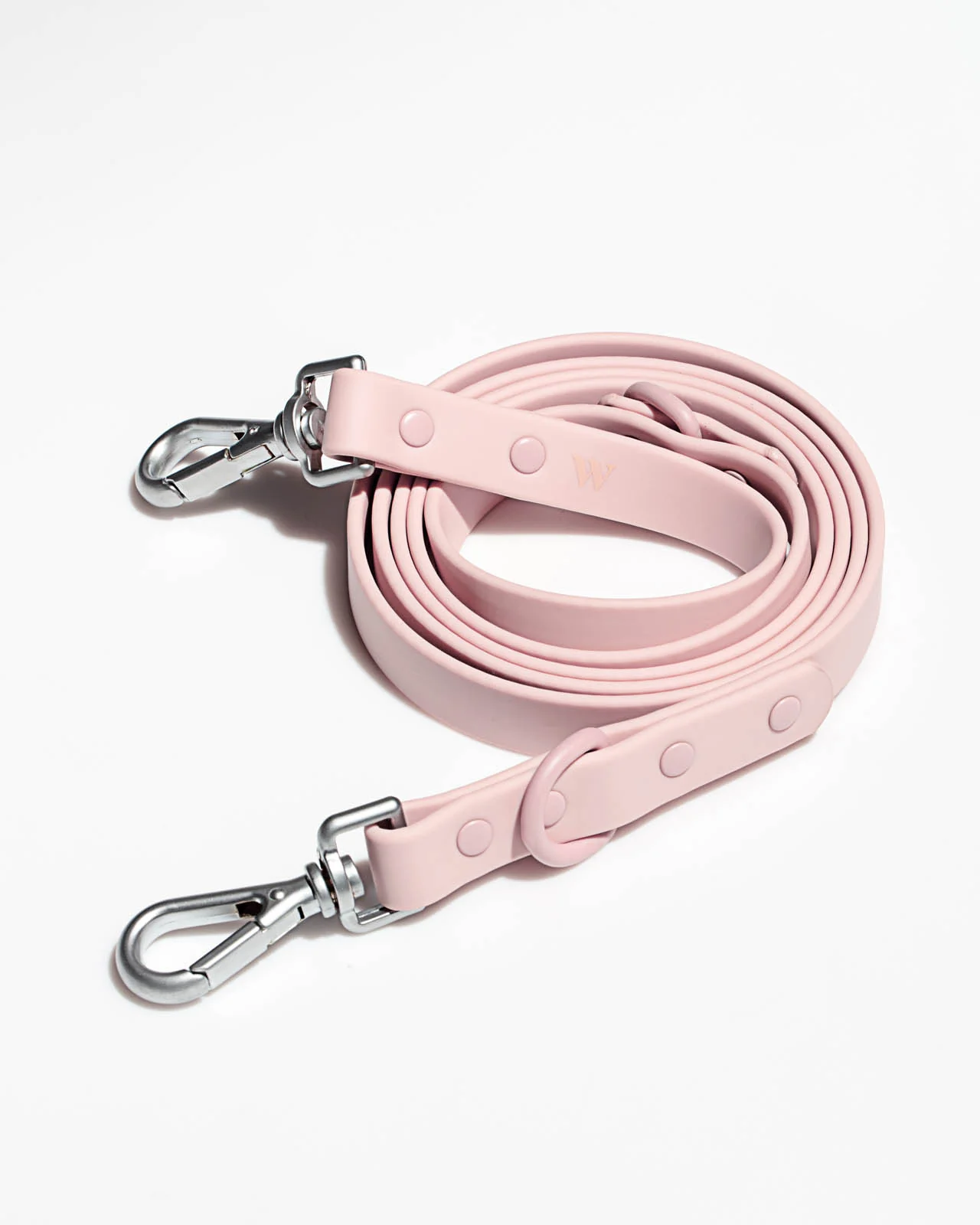 Splendid x Wild One Leash - Image 10