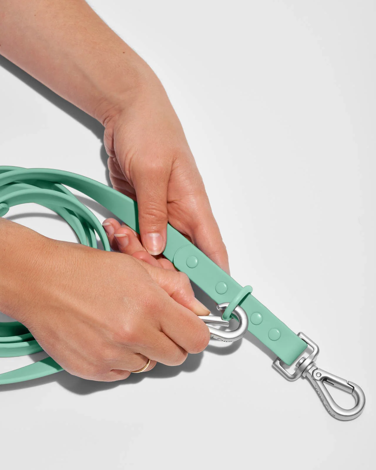 Splendid x Wild One Leash - Image 32