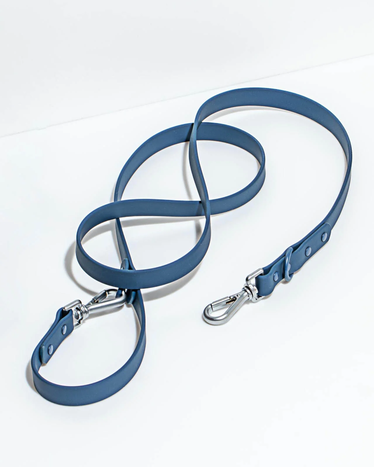 Splendid x Wild One Leash - Image 43