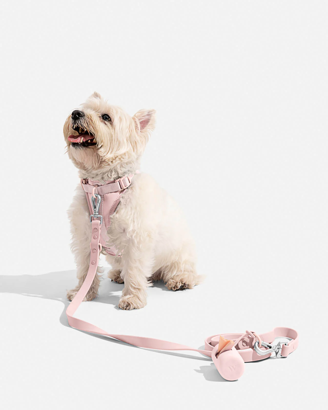 Splendid x Wild One Poop Bag Carrier - Image 12