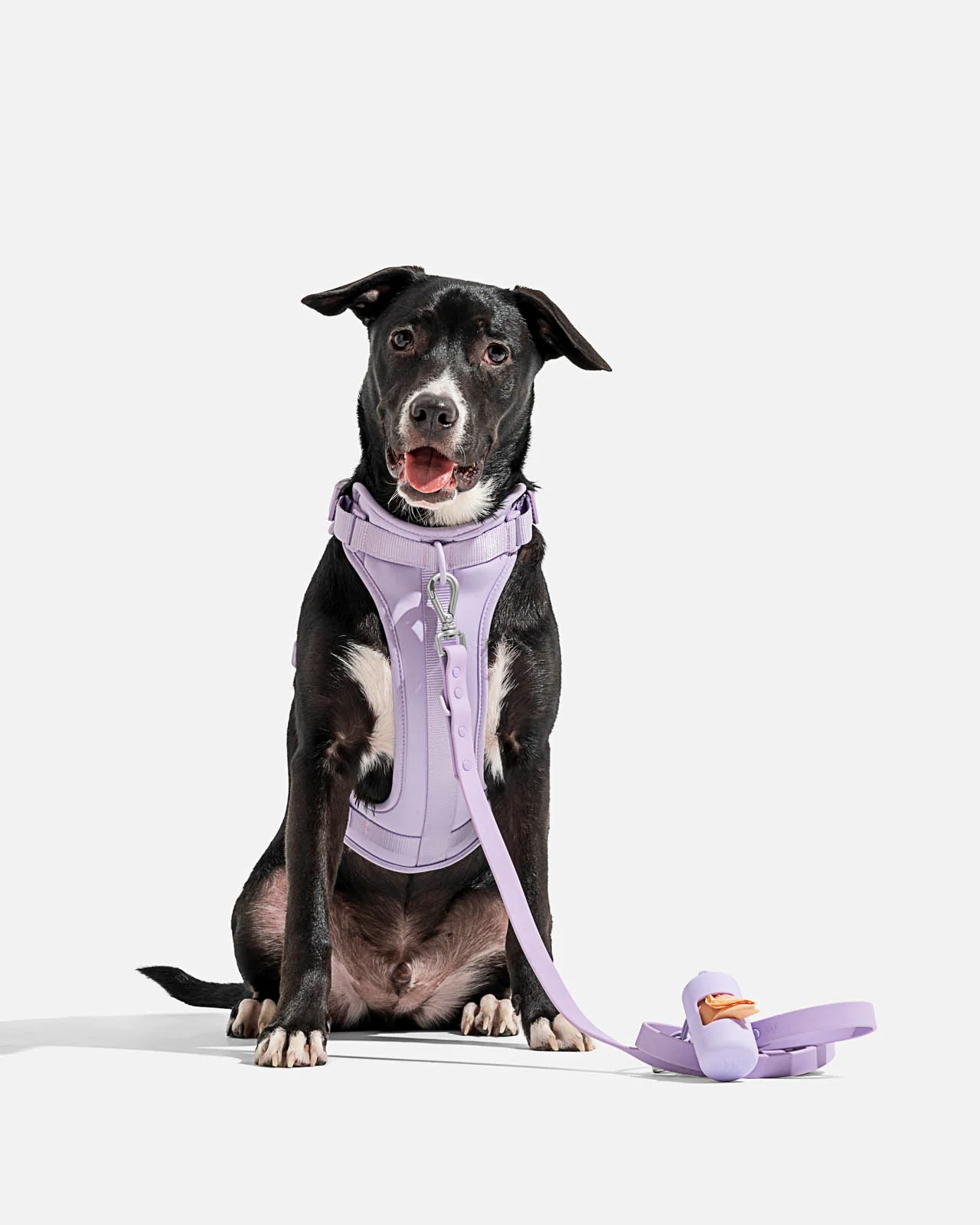 Splendid x Wild One Poop Bag Carrier - Image 15