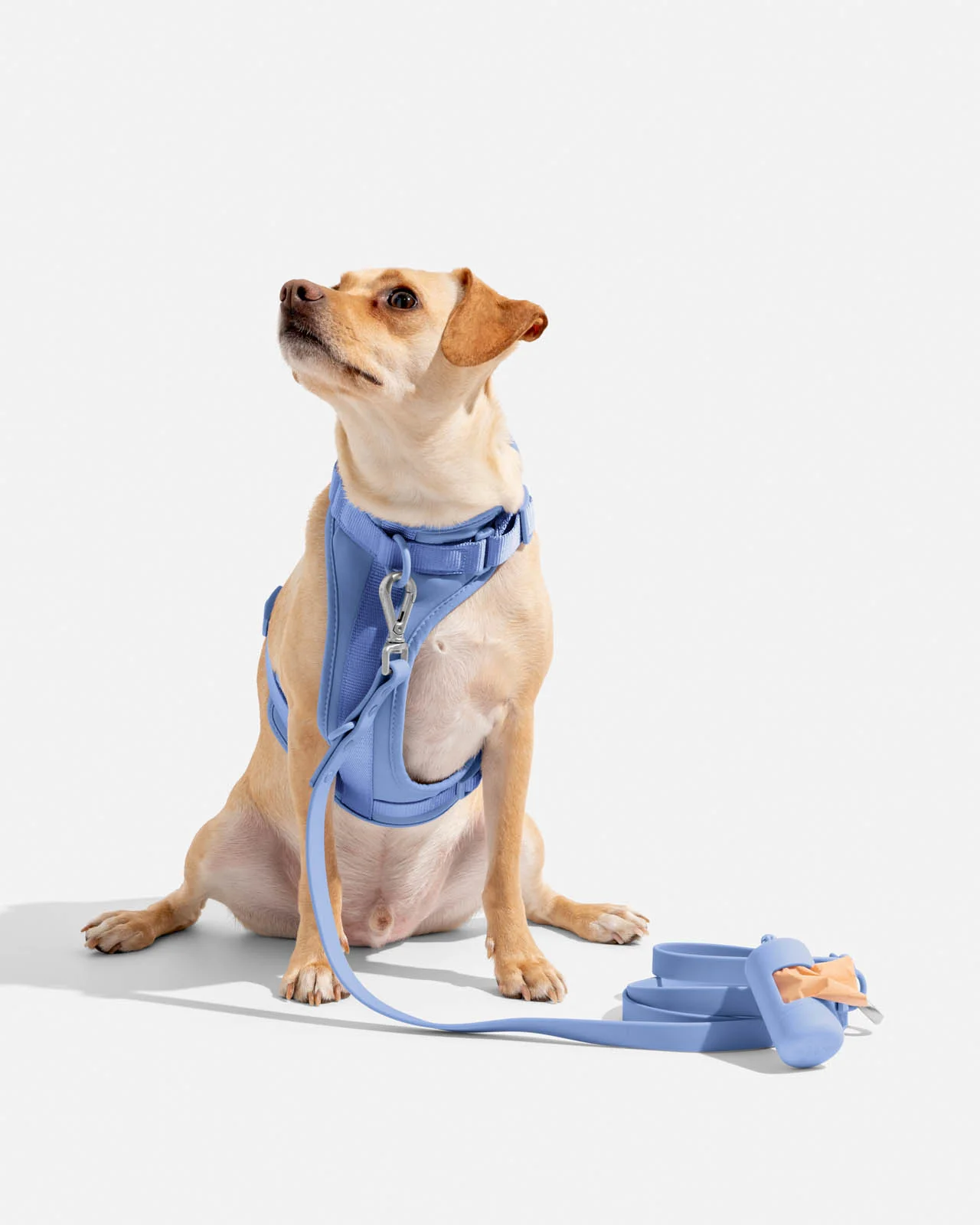 Splendid x Wild One Poop Bag Carrier - Image 17