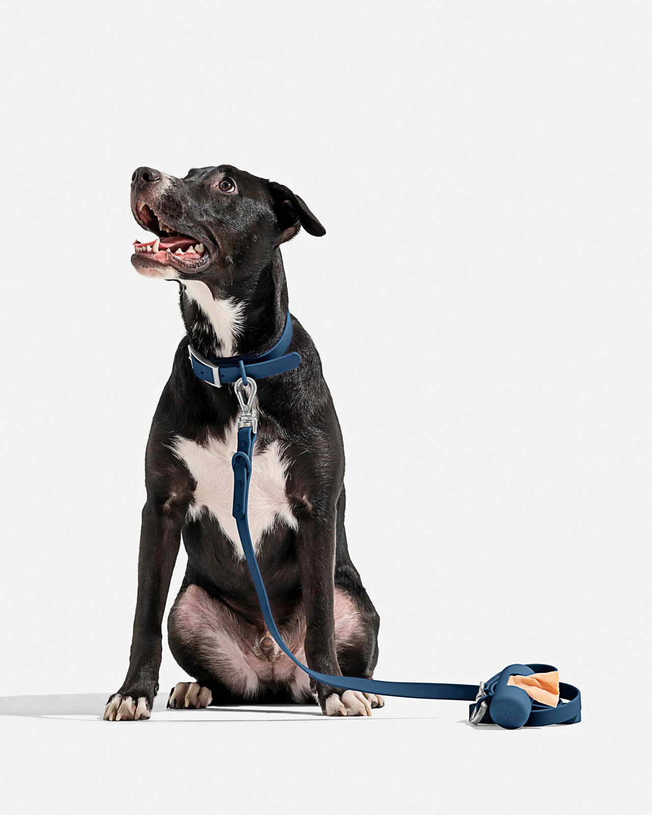 Splendid x Wild One Poop Bag Carrier - Image 19