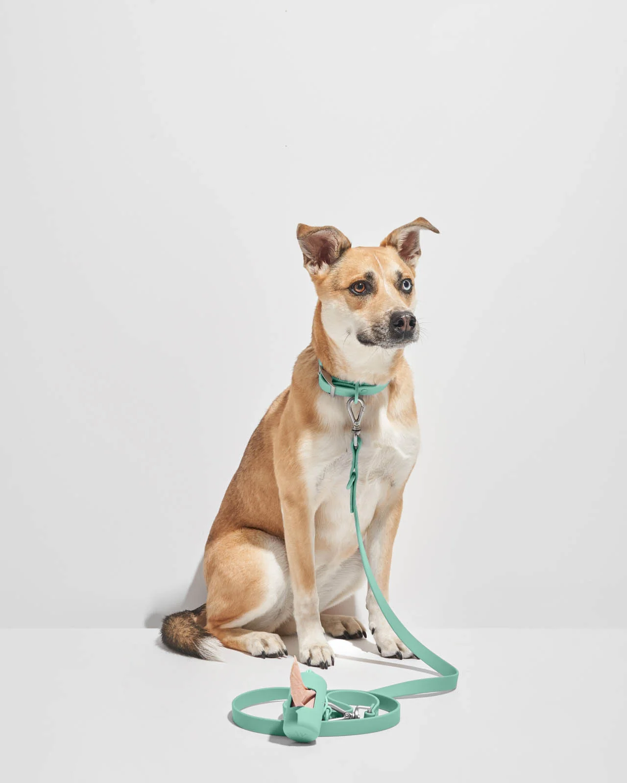 Splendid x Wild One Poop Bag Carrier - Image 23