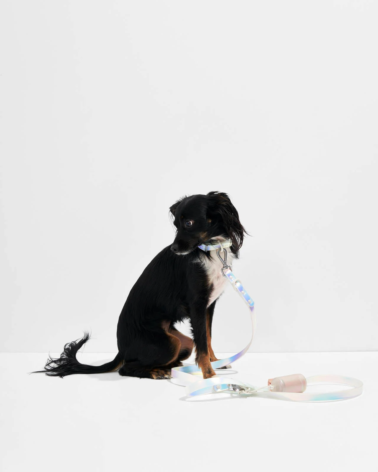 Splendid x Wild One Poop Bag Carrier - Image 25