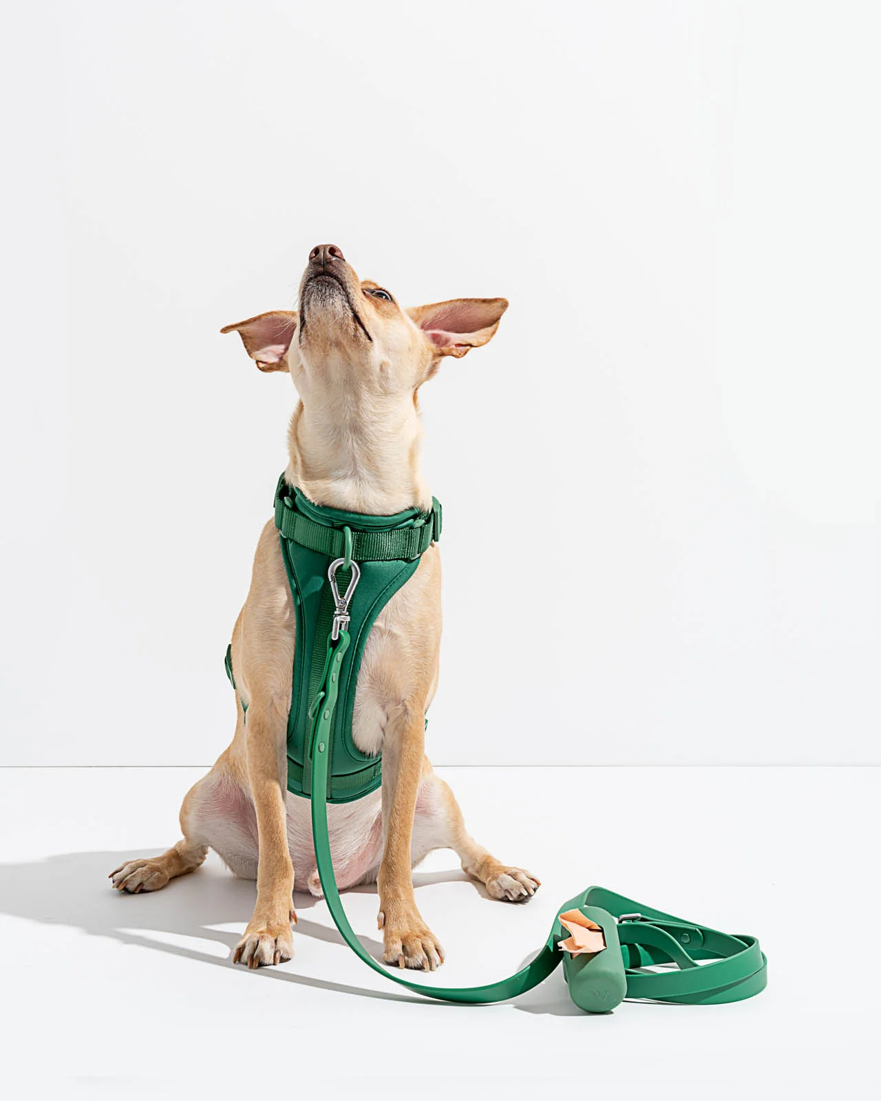 Splendid x Wild One Poop Bag Carrier - Image 29